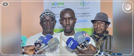 Afrique de l'ouest, "l&rsquo;agriculture familiale doit retrouver toute sa place dans les politiques publiques" | Questions de d&eacute;veloppement ... | Scoop.it