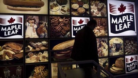 Maple Leaf va construire la plus grande usine de protéines végétales des Etats-Unis | Huiles végétales | Scoop.it