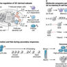 Immunology