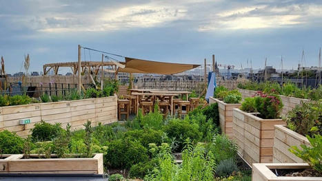 Sur les toits, Topager mixe végétalisation et agriculture urbaine | Les Colocs du jardin | Scoop.it