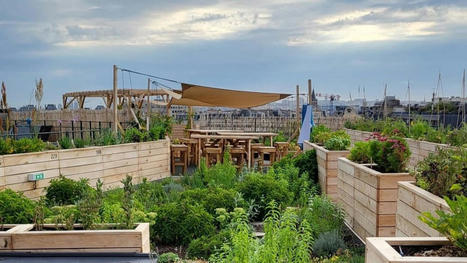 Sur les toits, Topager mixe végétalisation et agriculture urbaine | ESPACES VEGETALISES URBAINS | Scoop.it