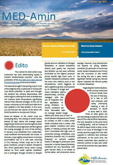 CIHEAM : Release of Newsletter MED-Amin n°45 (Jan-Apr 2023) | CIHEAM Press Review | Scoop.it