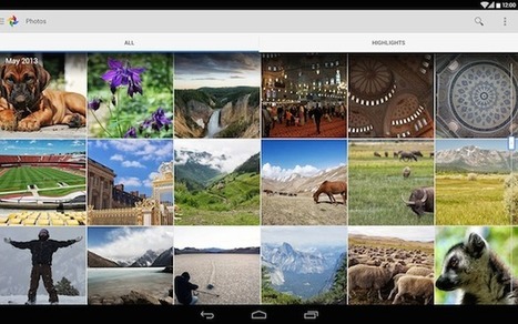 Google Adds GIF & Collage Creation Tools to Its Google+ Android App | Photo Editing Software and Applications | Scoop.it