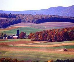 Health and Food Security Benefit From Climate Change Actions | YOUR FOOD, YOUR ENVIRONMENT, YOUR HEALTH: #Biotech #GMOs #Pesticides #Chemicals #FactoryFarms #CAFOs #BigFood | Scoop.it