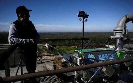 Oubliez l’essence ou le bioéthanol, ces tracteurs carburent... aux bouses de vache ! - Ouest-France | Pour innover en agriculture | Scoop.it