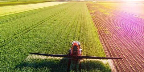 Trump nominee admitted she's 'pretending' to be a farmer for a tax break: report - Raw Story | Backstabber Watch | Scoop.it