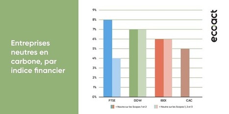 Neutralité carbone : où en sont les entreprises françaises ? | Notre futur monde | Scoop.it