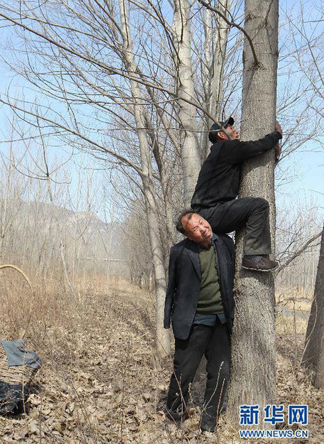 Blind Man And His Armless Friend Spend 10 Years Planting 10,000 Trees In China | News-from-China | Scoop.it