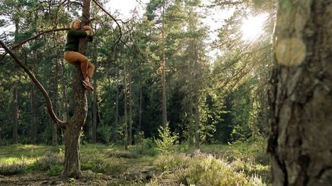 Minä ja metsä | 1Uutiset - Lukemisen tähden | Scoop.it