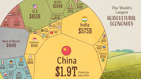 Ranked: The World's Largest Agricultural Economies | SoRo class | Scoop.it