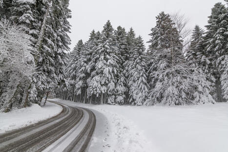 Du froid et de la neige &agrave; basse altitude pour d&eacute;buter l&rsquo;ann&eacute;e | Vall&eacute;es d'Aure & Louron - Pyr&eacute;n&eacute;es | Scoop.it