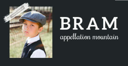 Baby Name Bram: Brisk and Romantic | Name News | Scoop.it