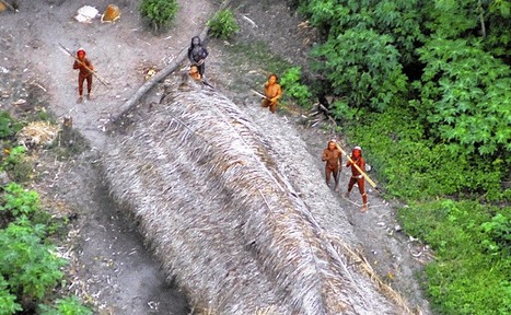 Brazil makes contact with members of isolated tribe in Amazon - Los Angeles Times | MyLuso | Scoop.it