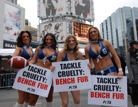 Lingerie Football League players protest for PETA - Guyism | LFL - Lingerie Football League | Scoop.it