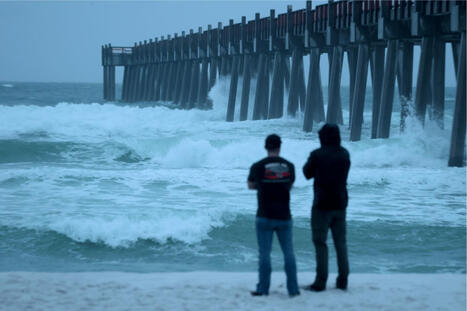 Hurricane Isaias Raises &lsquo;Flesh-Eating&rsquo; Bacteria Risk for Gulf Coast - Newsweek | Operation Deimos | Scoop.it