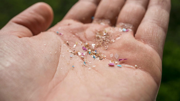 Worrying amounts of microplastics found in human brain tissue - how to reduce exposure | Neurovascular Intervention | Scoop.it