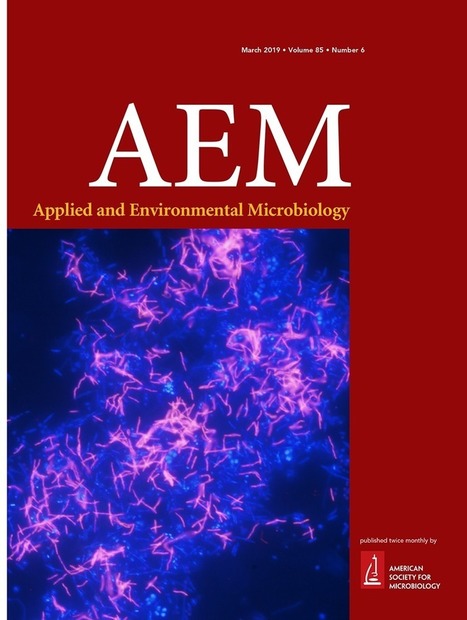 Intranasal Immunization with the Commensal Streptococcus mitis Confers Protective Immunity against Pneumococcal Lung Infection | Mucosal Immunity | Scoop.it