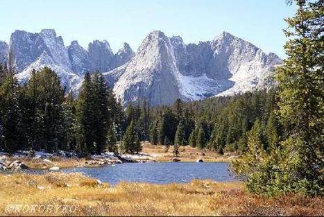 ALLIE HARPER & HARRY GROVER (Wyoming) | Name News | Scoop.it