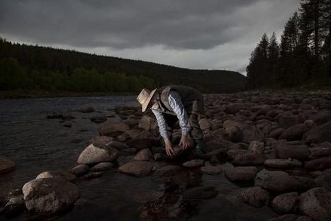 Näin rikastut kullalla: Helppoa kuin heinänteko? - Suomen Kuvalehti | 1Uutiset - Lukemisen tähden | Scoop.it