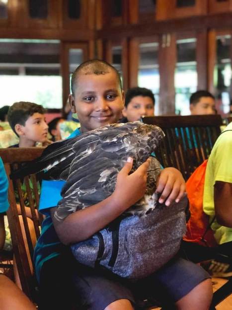 Eco Kids Camp 2018 Day 7: Belizean Wildlife & Final Farewell | Cayo Scoop!  The Ecology of Cayo Culture | Scoop.it