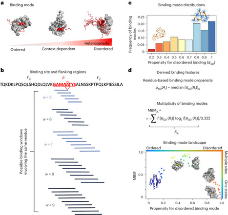 FuzDrop: sequence-based prediction of the propensity of proteins for liquid&ndash;liquid phase separation and aggregation | Npc | RMH | Scoop.it