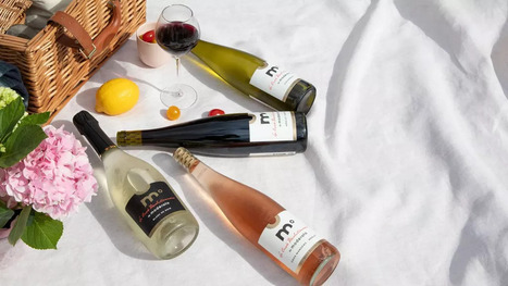ALCOOL : De plus en plus de Français se mettent au vin sans alcool  | ALIMENTATIONS | Scoop.it