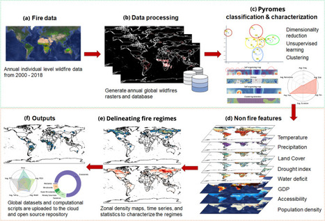 Global scale coupling of pyromes and fire regimes | Papers | Scoop.it