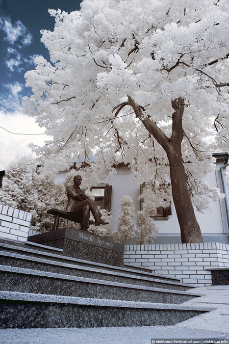 Stunning Infrared Photographs | Amazing Science | Scoop.it