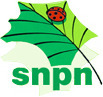Sorties SNPN en Camargue | Camargue Nature | Scoop.it