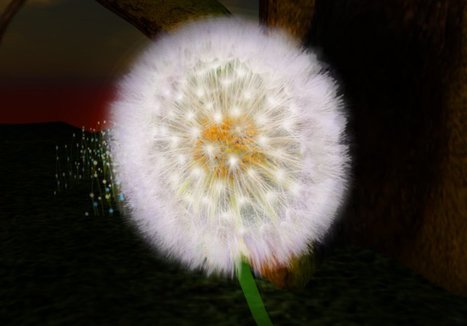 Gorgeous Dandelion Flower by Over The Moon | Teleport Hub | Teleport Hub | Scoop.it