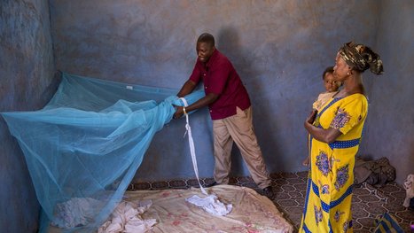 Le vaccin belge de GSK contre le paludisme sera introduit en Afrique en 2018 | J'écris mon premier roman | Scoop.it