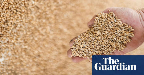 EU wastes 153m tonnes of food a year – much more than it imports, says report | Food waste | The Guardian | Microeconomics: IB Economics | Scoop.it
