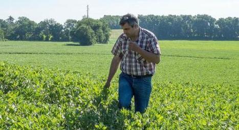 "En cultivant en bio, j'ai redécouvert mon métier", interview d'un agriculteur bio à grande échelle | Métiers et emploi de l'économie verte | Scoop.it