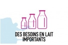 Les restos du cœur font appel aux producteurs de lait | Lait de Normandie... et d'ailleurs | Scoop.it