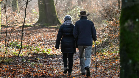 Bien-être : vivre à proximité d’espaces naturels entretient la santé physique et mentale des personnes âgées, selon une étude | France Info | La SELECTION du Web | CAUE des Vosges - www.caue88.com | Scoop.it
