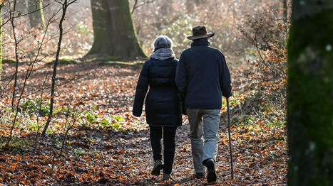 Bien-être : vivre à proximité d’espaces naturels entretient la santé physique et mentale des personnes âgées, selon une étude | Biodiversité | Scoop.it