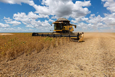 Pirataria digital no agro leva empresas &agrave; Justi&ccedil;a | Inova&ccedil;&atilde;o Educacional | Scoop.it