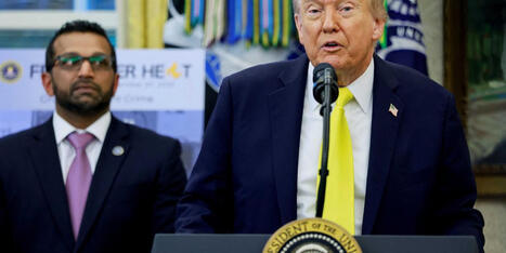 FBI should 'have a chat with Trump' after new post admits Epstein knowledge: ex-prosecutor - Raw Story | Operation Phobos | Scoop.it