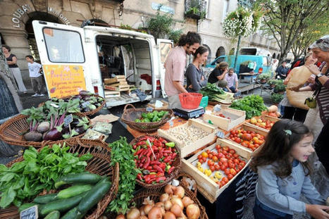 Douche froide sur le localisme : les aliments produits en circuit court ne sont pas meilleurs pour la planète  | ALIMENTATIONS | Scoop.it
