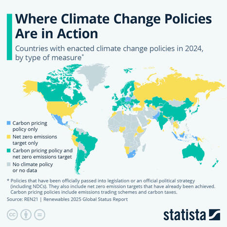 Chart: Where Climate Change Policies Are in Action | Statista | Sustainability | Scoop.it