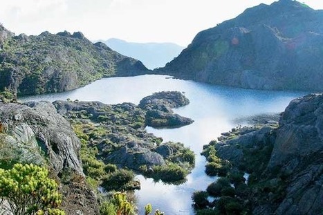 Colombia/Gobierno niega que est&eacute; lista licencia para autorizar explotaci&oacute;n en Santurb&aacute;n | ELESPECTADOR.COM | MOVUS | Scoop.it