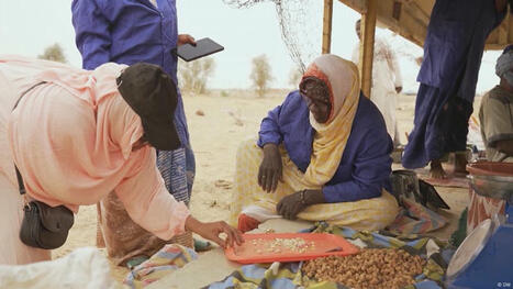 SUSTAINABILITY: Women in Mauritania show what zero-waste looks like  | DURABILITES | Scoop.it