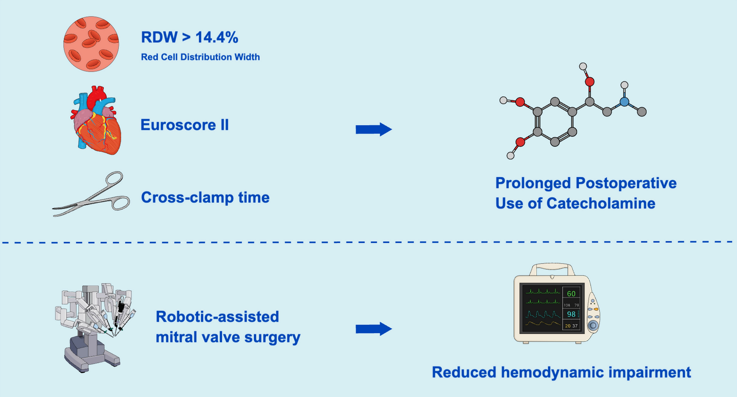 Relationship between Preoperative Red Cell Dist...