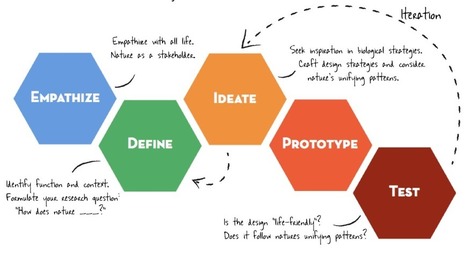 Biomimicry and Other Design Processes: "Design Thinking is an empathic, human-centered approach to innovation" | Empathic Design: Human-Centered Design & Design Thinking | Scoop.it