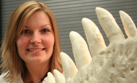 T. rex's killer smile revealed | Science News | Scoop.it