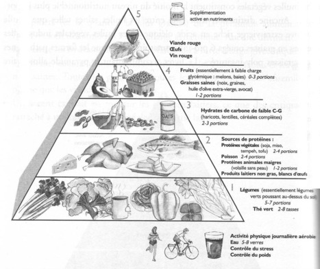 Pyramide-alimentaire - Ray and Terry | Chair et Métal - L'Humanité augmentée | Scoop.it