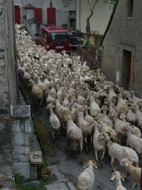 Traditionnel bouchon de fin de semaine en vall&eacute;e d'Aure | Vall&eacute;es d'Aure & Louron - Pyr&eacute;n&eacute;es | Scoop.it
