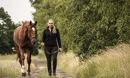 Beyond mindfulness: how horse riding, eating your greens and going for a walk can help depression | Empathy and Animals | Scoop.it