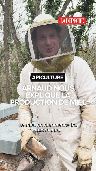 "Une catastrophe pour les abeilles" : la Confédération paysanne dénonce la proposition de loi Duplomb, un texte "irresponsable" | Politiques publiques et société | Scoop.it