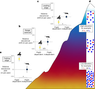 Les abeilles et d'autres insectes volants &agrave; plus grand risque d'extinction en raison de la crise climatique | EntomoNews | Scoop.it